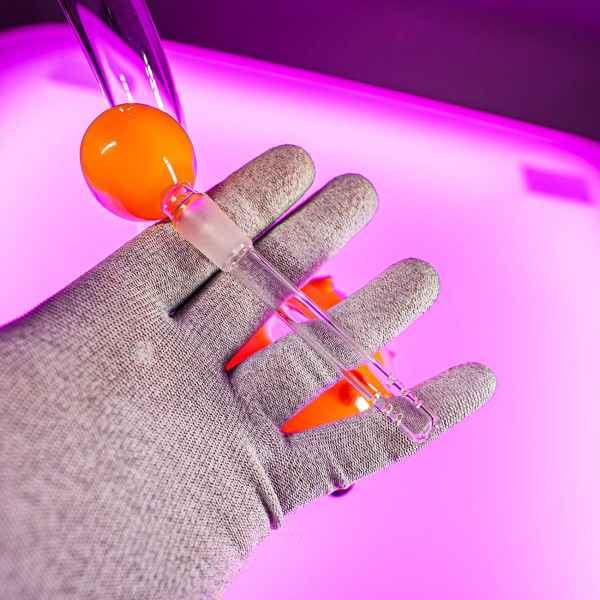 Kugelfisch Bong von Black Leaf