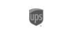 UPS-Standard